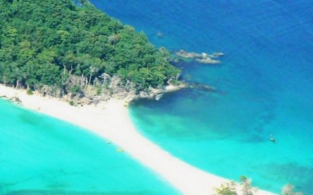 Paradise Found: A Comprehensive Guide to Visiting the Enchanting Andaman and Nicobar Islands