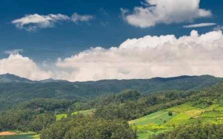 Ooty: A Captivating Hill Station of Natural Beauty and Tranquility