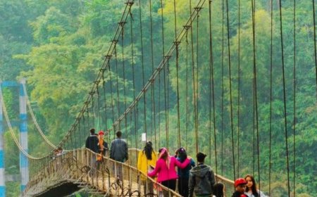 Discovering the Enchanting Charms of Jaintia Hills: Nature, Caves, Culture, and Adventure