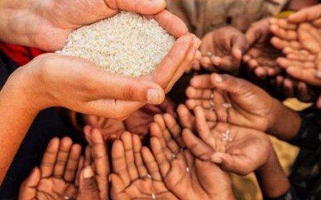 The National Food Security Act of India: 10 Key Facts