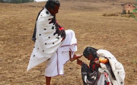 Preserving the Unique Heritage: Exploring the Traditional Lifestyle of the Todas in South India