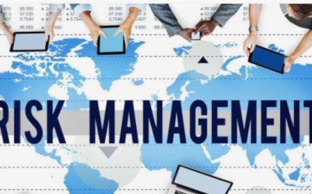 Mitigating Risks for Organizational Success: The Importance of Risk Management