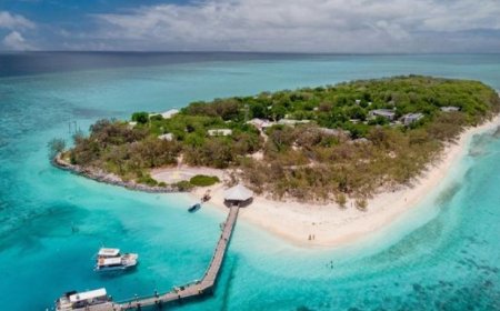 Diving into Wonder: Exploring the Magnificence of the Great Barrier Reef