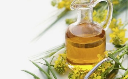 Discover the Beauty Benefits of Oil Massages for Healthy, Lustrous Hair