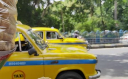 Puchka: The Exquisite Burst of Flavors in Kolkata's Street Food Delight