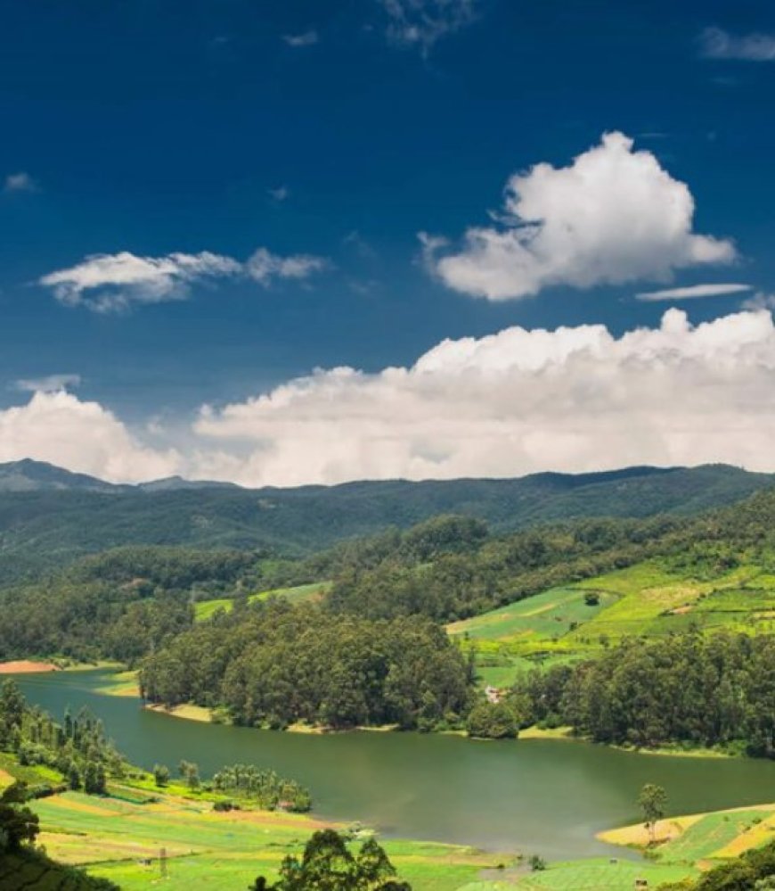 Ooty: A Captivating Hill Station of Natural Beauty and Tranquility