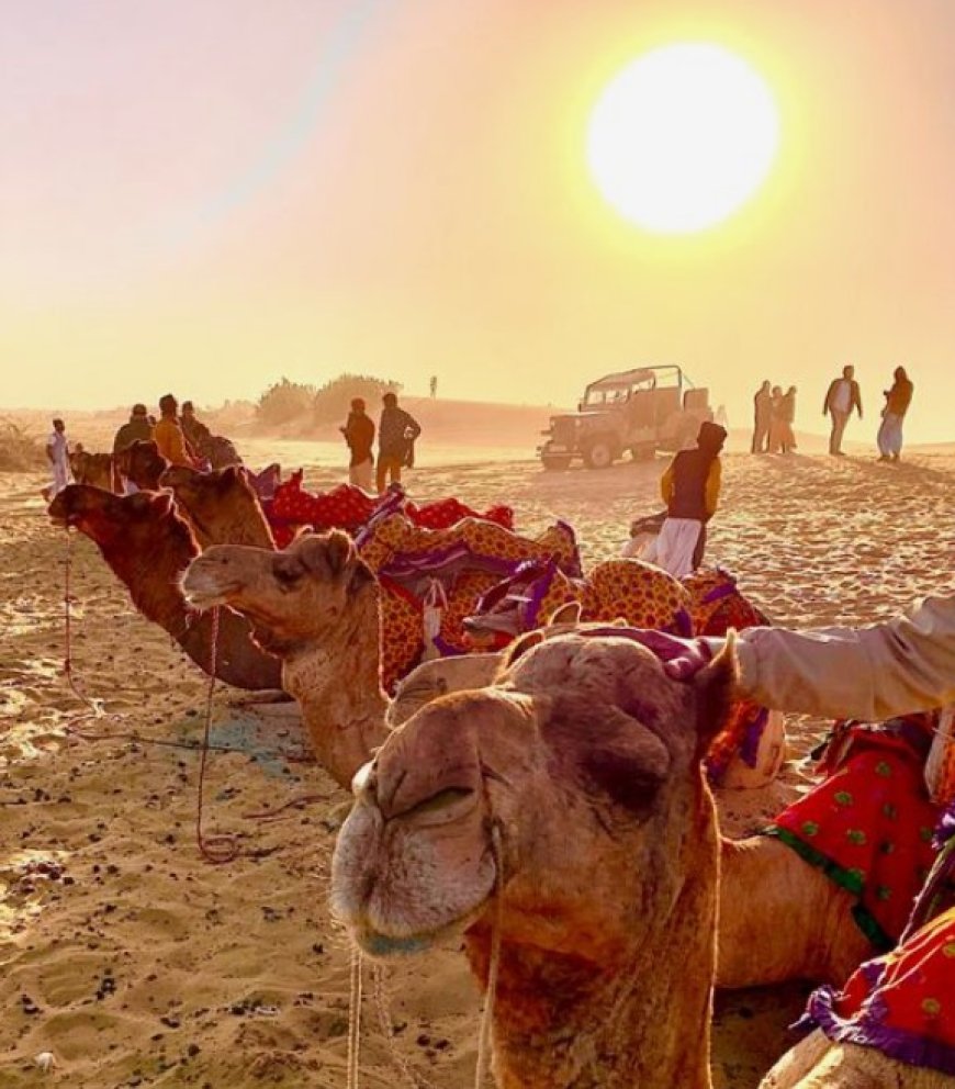 Jaisalmer: The Golden City of Rajasthan - A Captivating Oasis in the Desert.