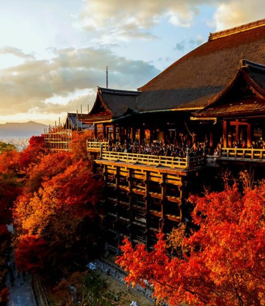 Kyoto: Where Ancient Traditions Embrace Modern Life