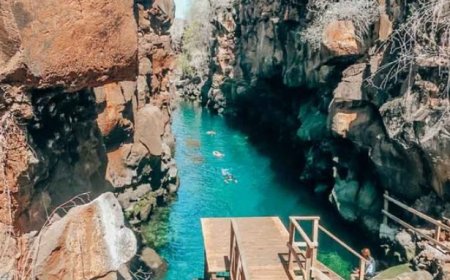 Galapagos Islands: A Paradise of Biodiversity and Natural Marvels