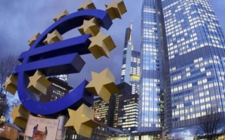 The Role of Central Bank Policies and Interest Rates in Shaping the Economy and Ensuring Stability