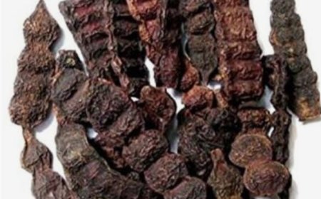 Benefits of Shikakai for Hair: Gentle Cleansing, Hair Growth Promotion, Conditioning, Scalp Soothing, Dandruff Prevention, Color Maintenance, and Eco-Friendliness