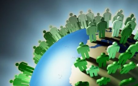 Demographic Changes: Implications and Adaptations for Societies and Economies
