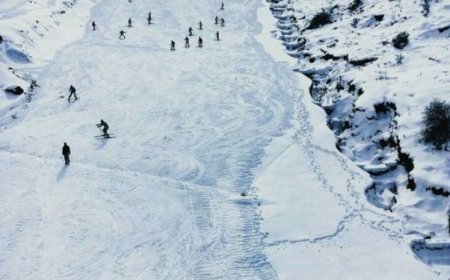 Discover the Irresistible Allure of Auli: A Perfect Blend of Natural Beauty, Skiing Thrills, and Scenic Delights