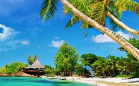 Discover Southeast Asia's Beach Bliss: Unveiling the best and brightest Coastal Gems