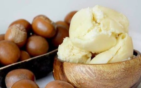 Shea Butter: Unveiling the Beauty Benefits for Facial Skincare