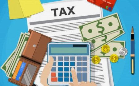 Overview of Main Types of Taxes in India: From Income Tax to GST and More