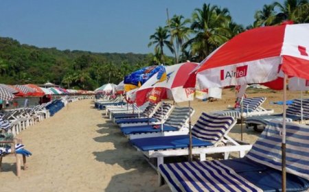 Discover the Enchanting Charms of Goa: Top 5 Must-Visit Places in India's Coastal Paradise
