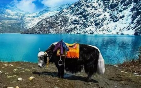 Sikkim: A Tranquil Haven for Nature Enthusiasts and Adventure Seekers