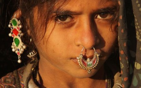 The Resilient Heritage: The Banni Tribe's Unique Lifestyle and Cultural Traditions