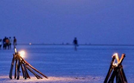 Banni Tribe's Vibrant Cultural Showcase: Kutch Rann Utsav