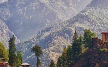 Discover the Enchanting Beauty of Bhutan: Top 5 Must-Visit Places