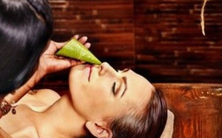 Nasya in Ayurveda: Healing Through Nasal Therapy for Balance and Well-being