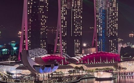 Top 5 Places to Visit in Singapore: Marina Bay Sands, Gardens by the Bay, Sentosa Island, Orchard Road, and Chinatown offer a delightful experience of modernity and cultural heritage.