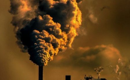 Climate Change: Impacting Earth Abundantly and Globally