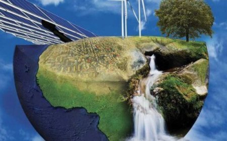 Common Causes of the Energy Crisis: Supply Disruptions, Surging Demand, and Transition to Renewable Sources