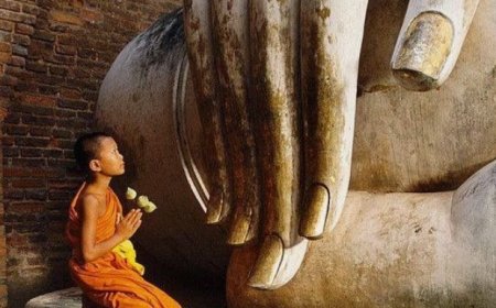 Foundations of Ayurveda: Holistic Principles for Optimal Well-Being