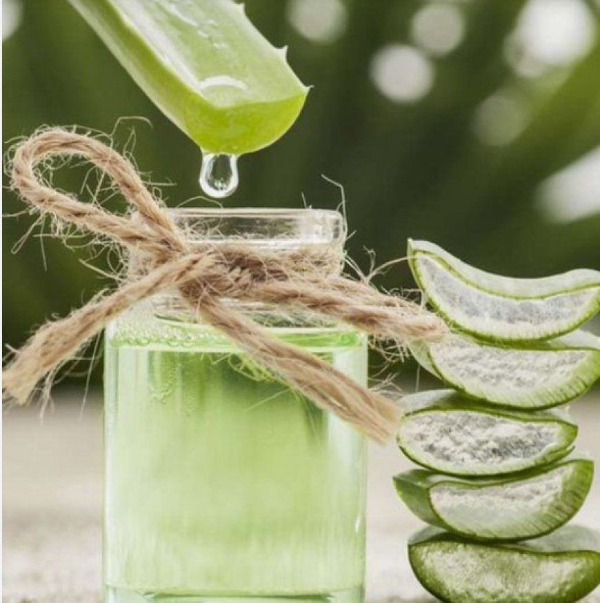 Unlocking the Power of Aloe Vera Juice: The Incredible Benefits for Healthy Skin