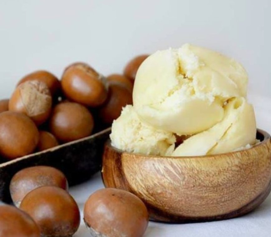 Shea Butter: Unveiling the Beauty Benefits for Facial Skincare