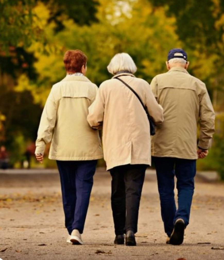 Addressing the Challenges of an Aging Population: Healthcare Costs and Sustainable Solutions