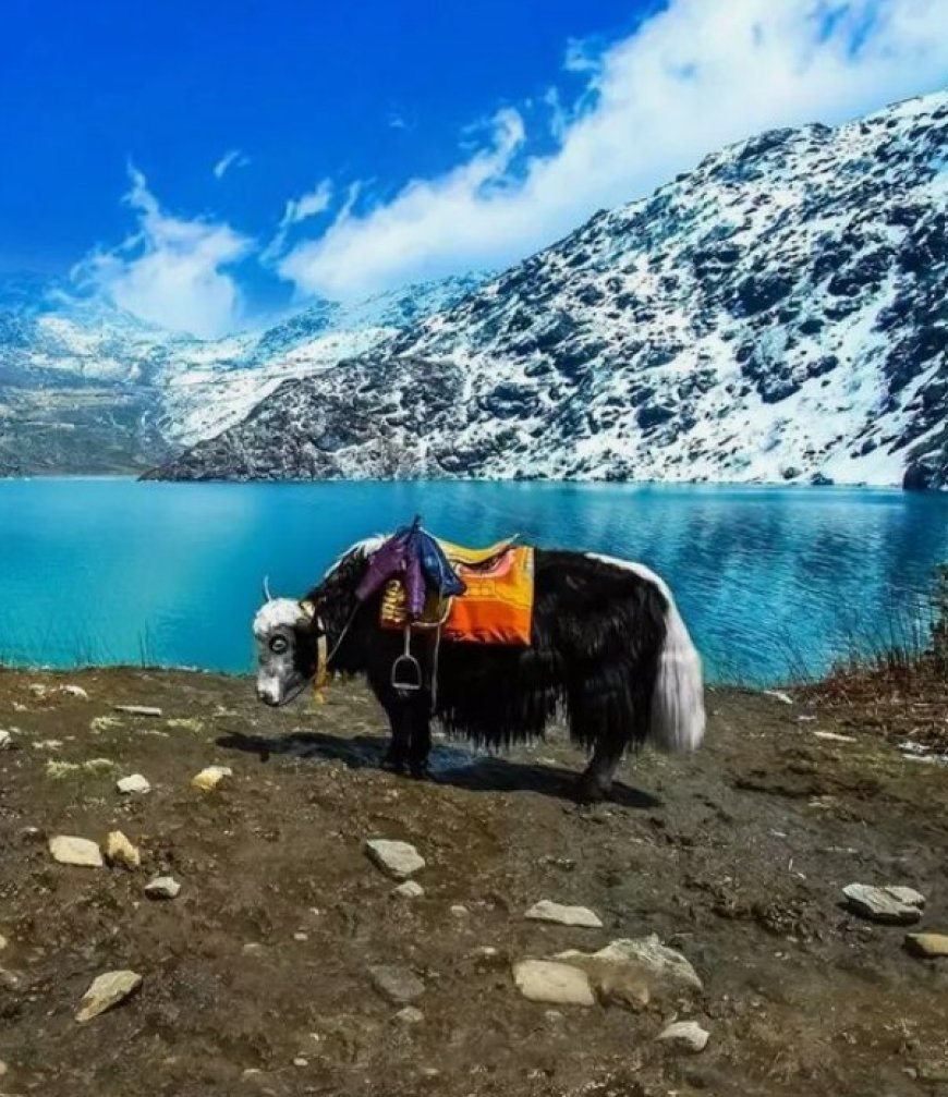 Sikkim: A Tranquil Haven for Nature Enthusiasts and Adventure Seekers