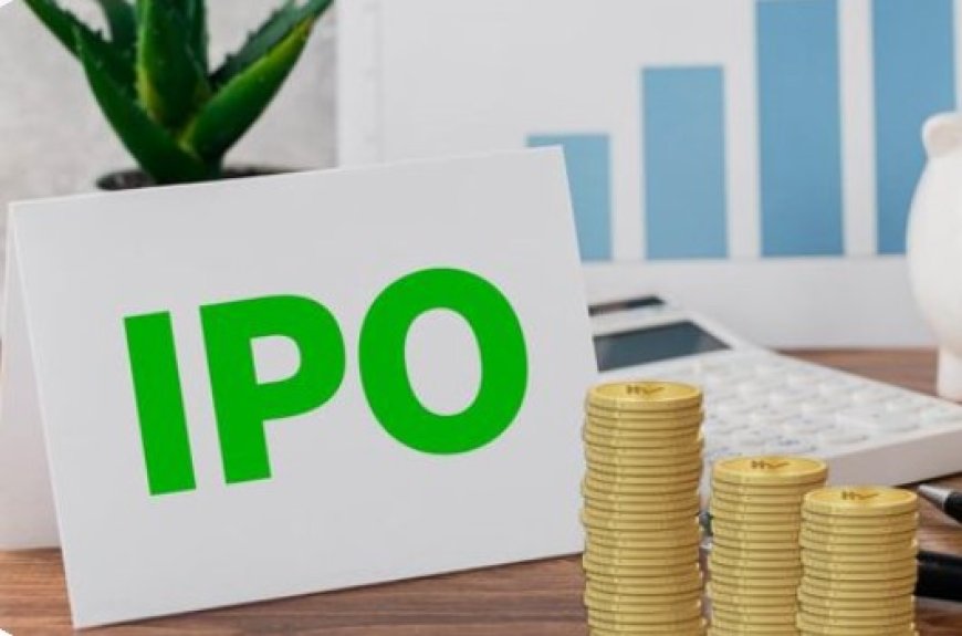 IPO Allocation Rank: Crucial Information for Investors and Market Sentiment