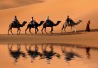 Desert Wonders: Exploring the Extraordinary Landscapes of the World