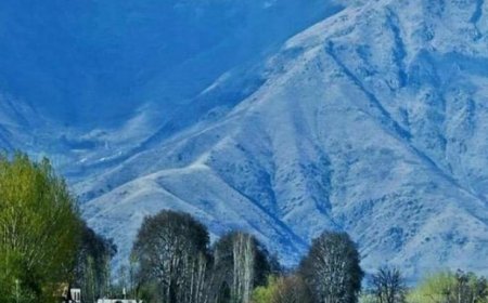 Enchanting Basins of India: Exploring the Natural Beauty and Tranquility