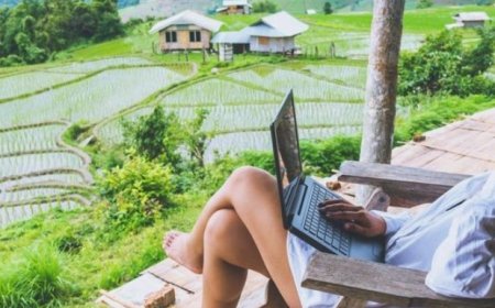 Remote Work: Transforming Economy Through Innovation, Sustainability, and Inclusion
