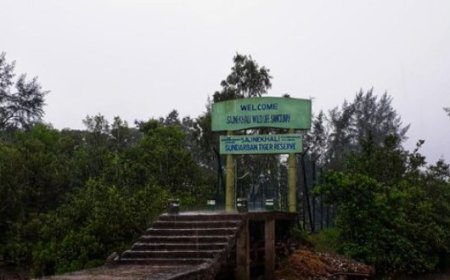 Unveiling the Enigma: Exploring the Mystical Beauty and Wildlife of Sundarbans Mangrove Jungle