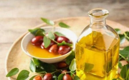Jojoba Oil: Versatile Benefits for Skin, Hair, and Well-being