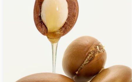 Argan Oil: Nature's Beauty Elixir for Skin, Hair, and Wellness