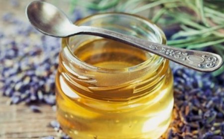 Lavender: A Versatile Herb for Relaxation, Skin Care, and Wellness