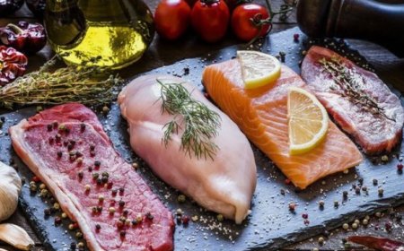 Essential Sources of Vitamin B12: Nourishing Your Body for Vitality and Well-Being