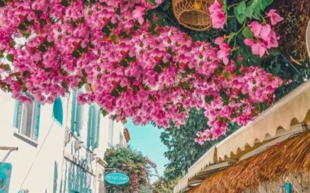 Alaçatı: A Seaside Gem Weaving History, Natural Beauty, and Vibrant Charm