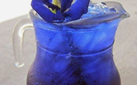 Unveiling the Potential: Exploring the Benefits of Conch Shell Tea