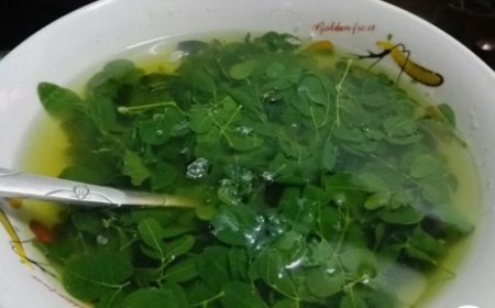 Power-Packed Benefits of Drumstick Leaves: Nourishing Your Health