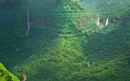 Diverse Biodiversity Hotspots of India: A Tapestry of Natural Beauty and Rarity