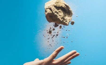 Fundamental Insights: Gravitational Force and its Universal Impact