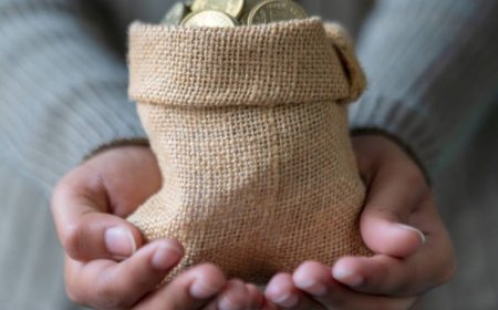 Fueling Economic Growth: The Role and Function of Capital Markets