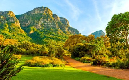 Kirstenbosch National Botanical Garden: A Flourishing Haven of Biodiversity and Beauty